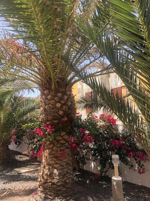 Cheers On Fuerteventura Apartment คอสตา เด อันตีกัว ภายนอก รูปภาพ